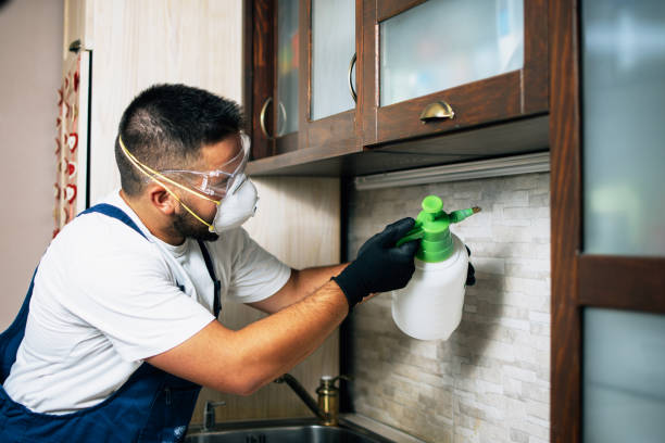 Best Exterminator Services  in Armona, CA