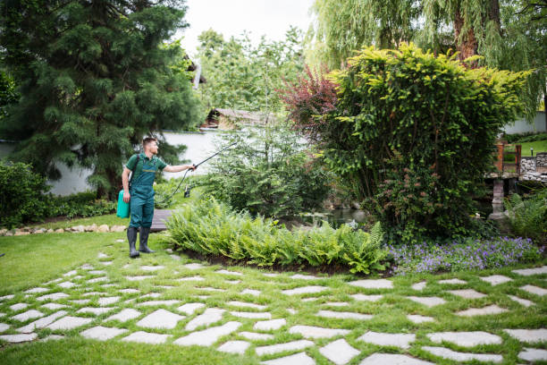Best Pest Removal Services  in Armona, CA