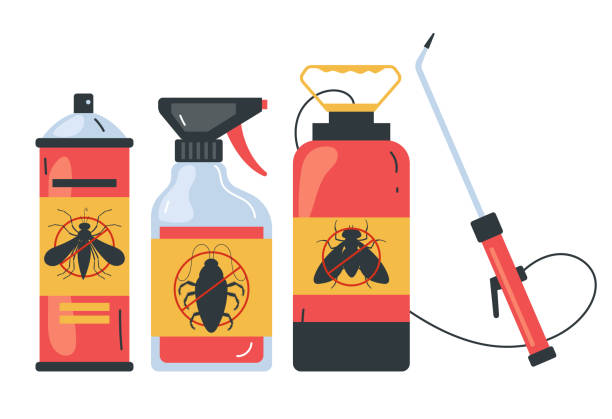 Best Spider Control Near Me  in Armona, CA