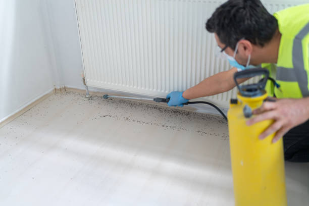 Best Pest Control Cost  in Armona, CA