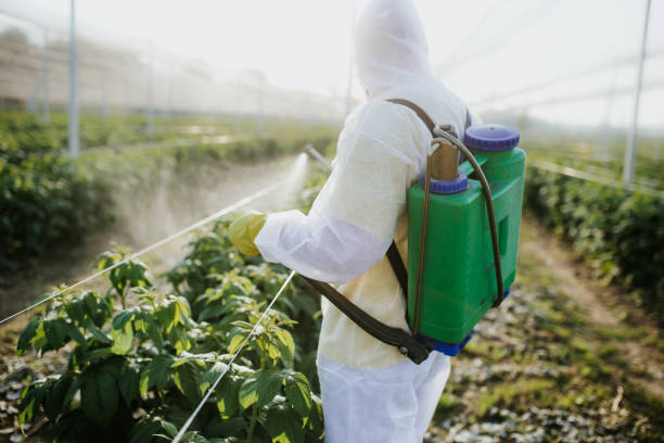 Pest Control Cost in Armona, CA